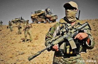 娱乐吃瓜酱特种兵