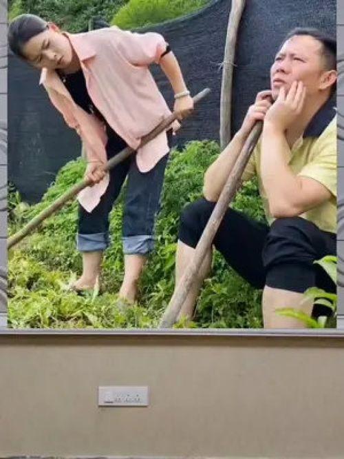 吃瓜群众的娱乐八卦